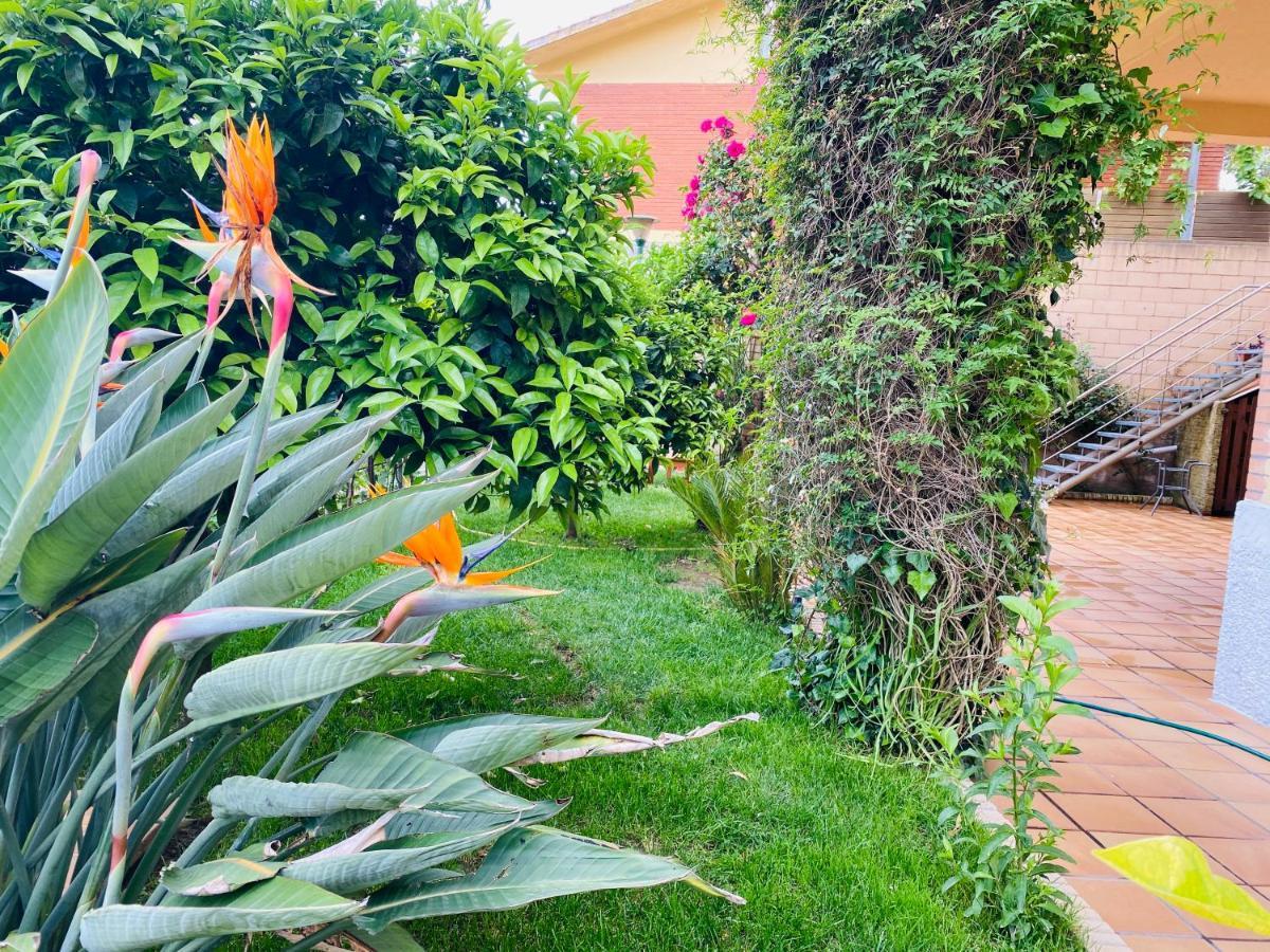 Apartamento Mar Y Montana Argentona Zewnętrze zdjęcie
