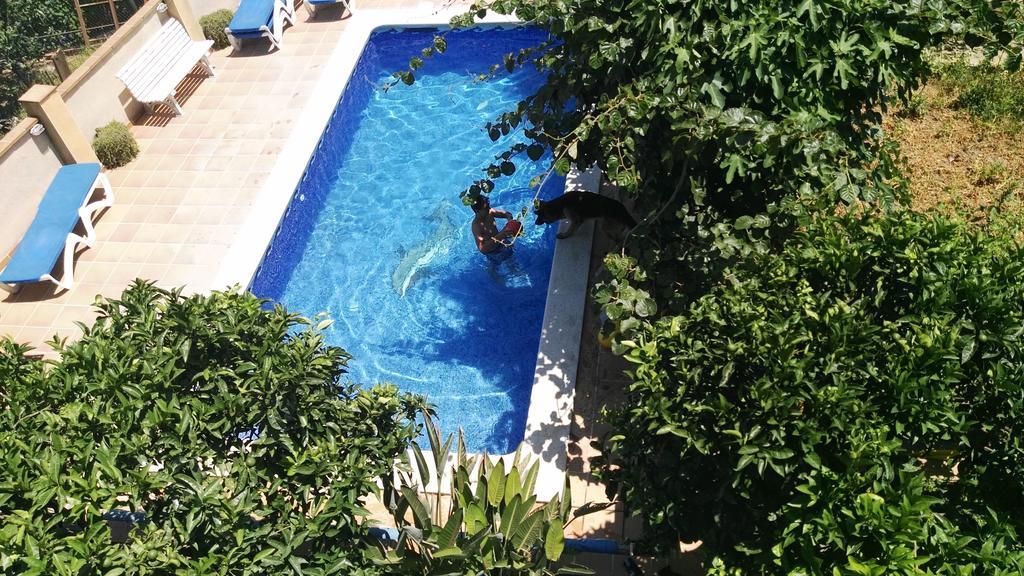 Apartamento Mar Y Montana Argentona Zewnętrze zdjęcie